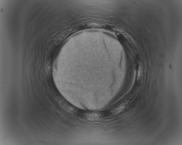 X0000085740513200704091513