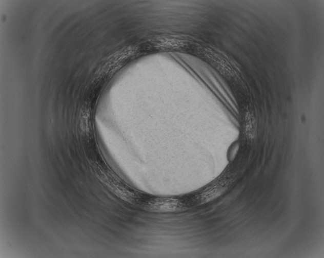 X0000085740514200704091513