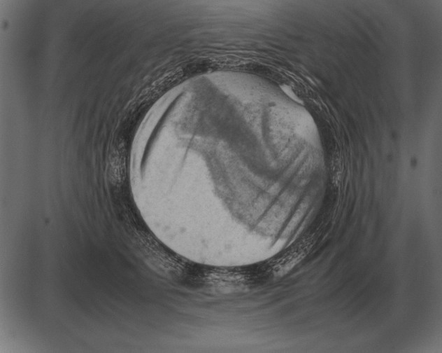 X0000085740515200704091513
