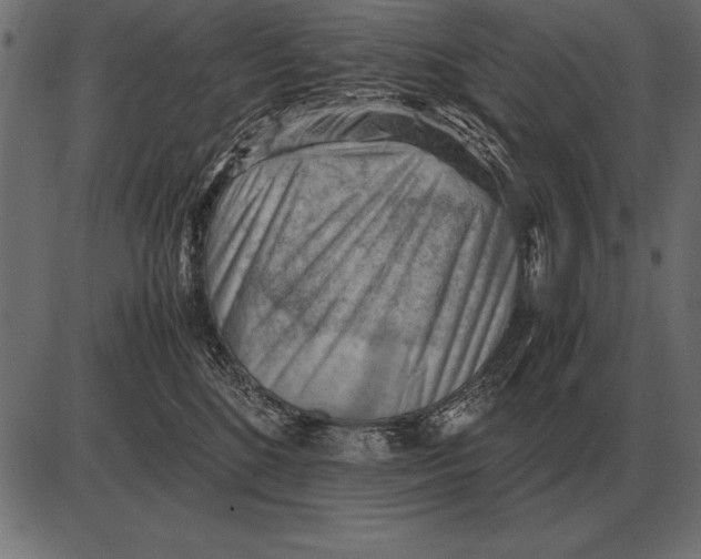 X0000085740520200704091513