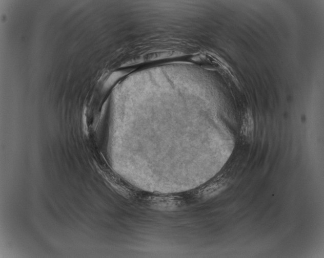 X0000085740524200704091513