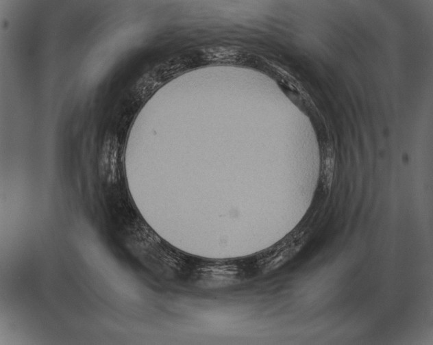X0000085740525200704091513