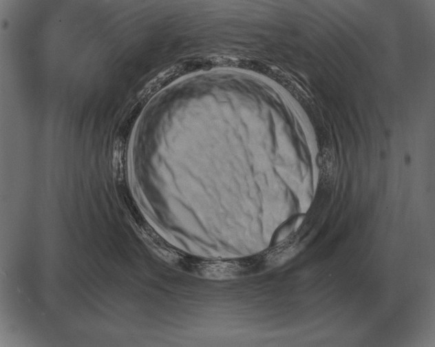 X0000085740527200704091513