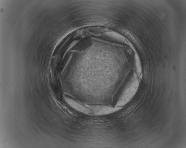 X0000085740532200704091512