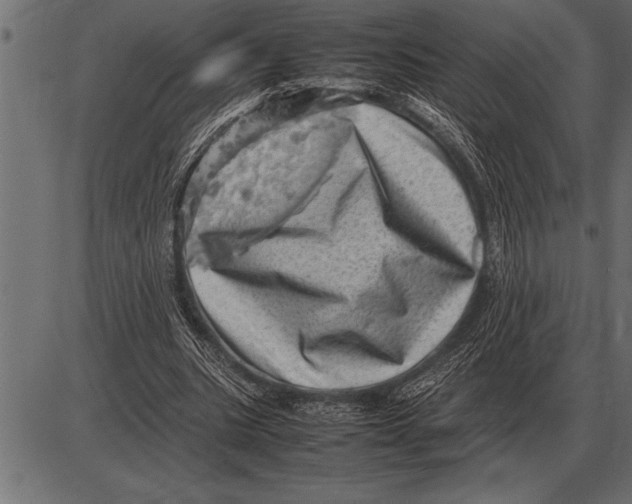 X0000085740535200704091512