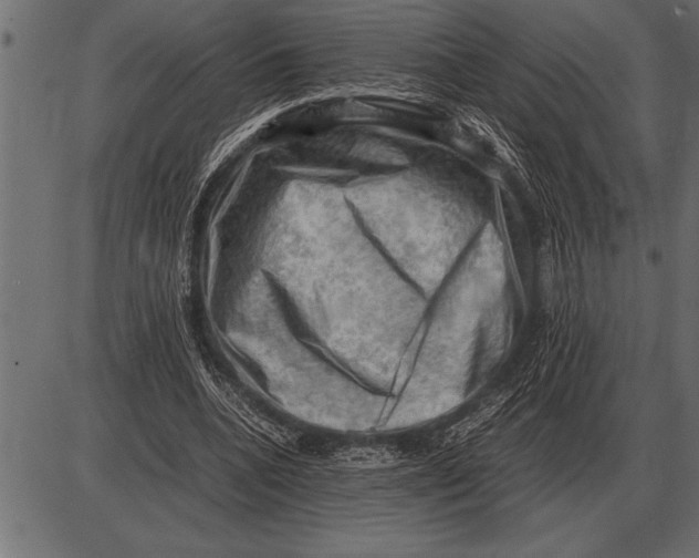 X0000085740536200704091512