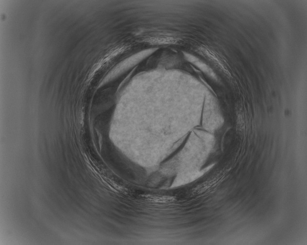 X0000085740539200704091512