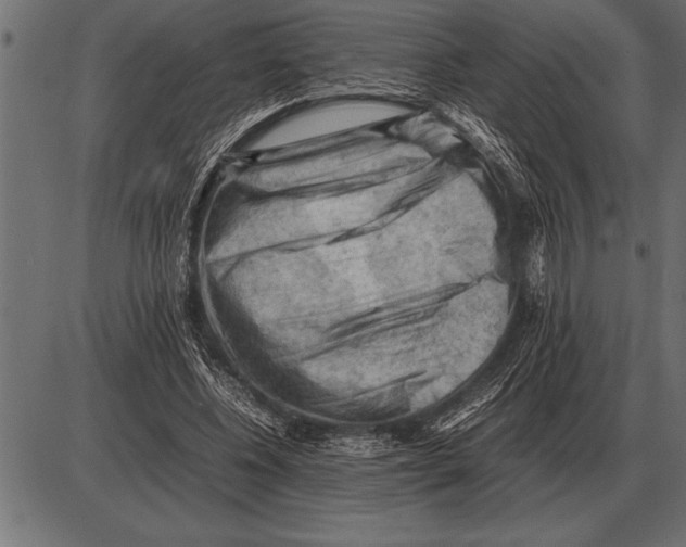 X0000085740540200704091512