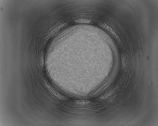 X0000085740541200704091512