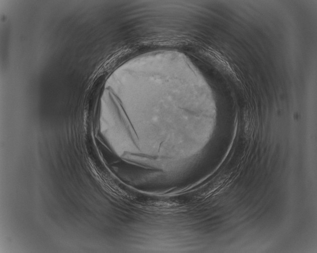 X0000085740542200704091512