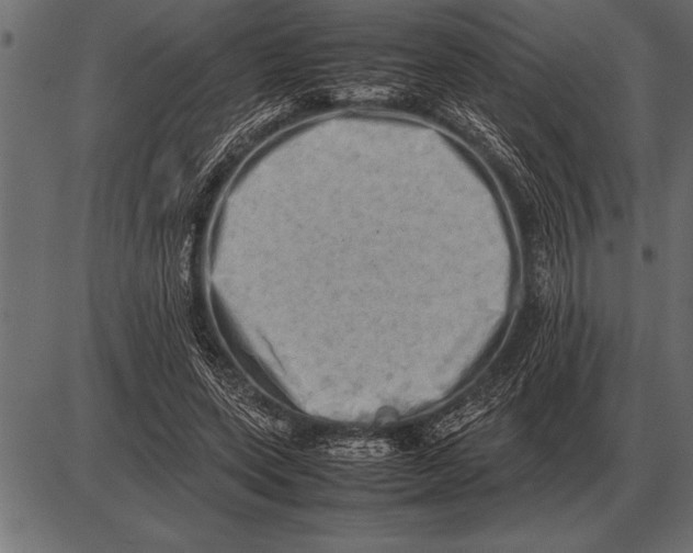 X0000085740543200704091512