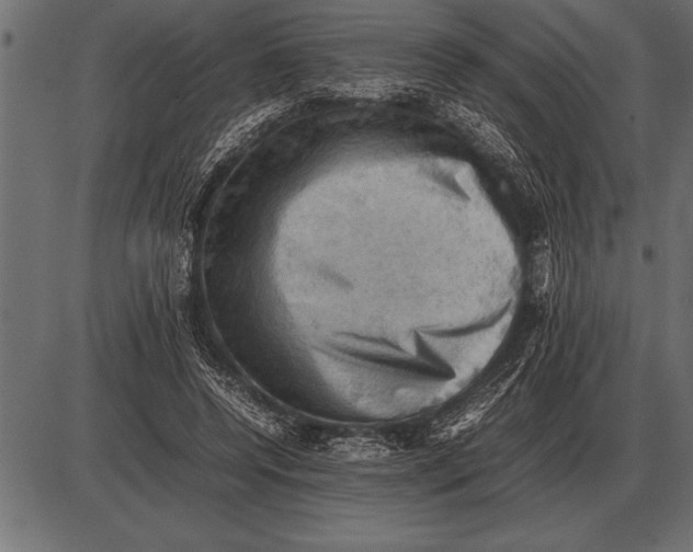 X0000085740544200704091512