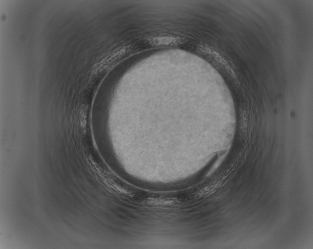 X0000085740545200704091512