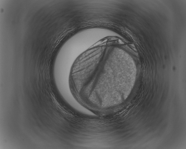 X0000085740546200704091512