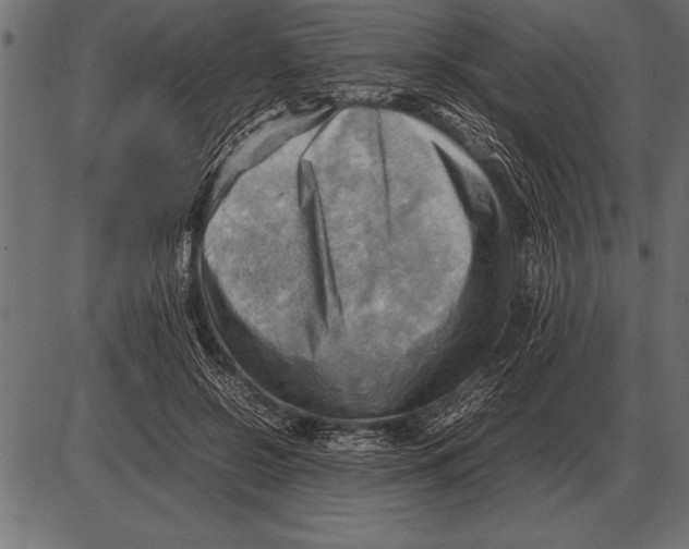 X0000085740550200704091512