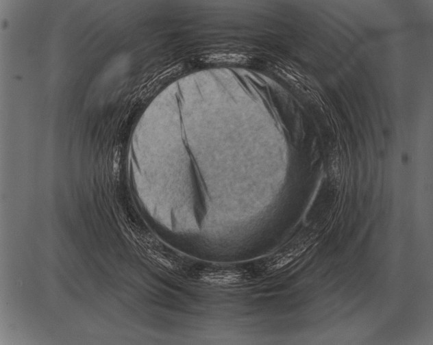 X0000085740551200704091512