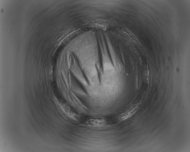 X0000085740552200704091512