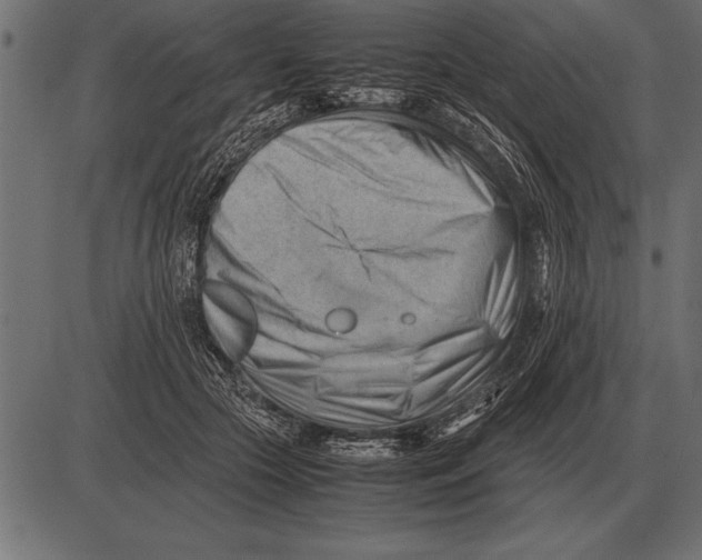 X0000085740553200704091512