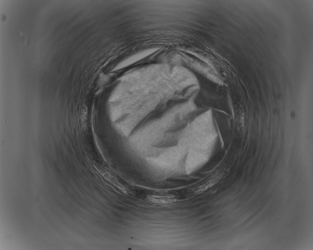 X0000085740556200704091512