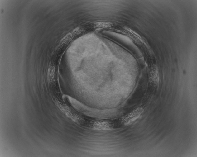 X0000085740560200704091513
