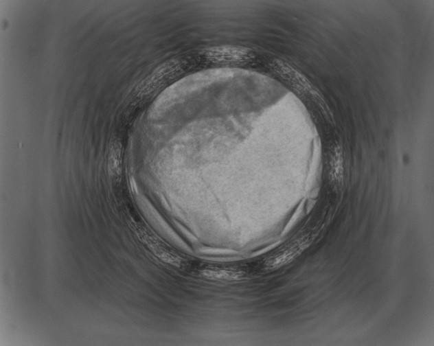 X0000085740561200704091513