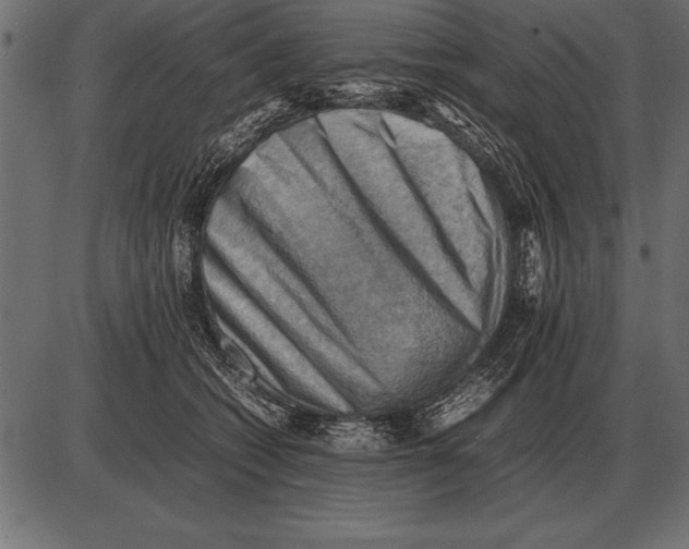 X0000085740562200704091513