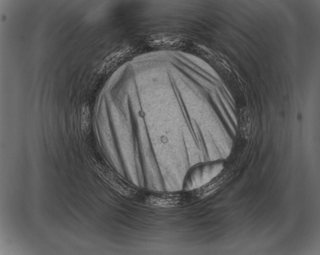 X0000085740563200704091513