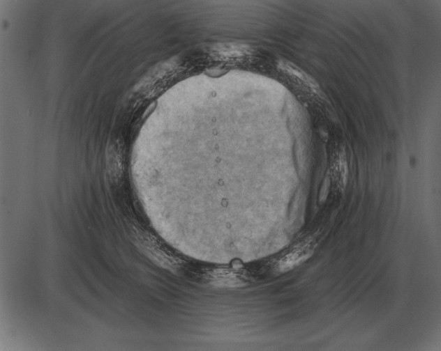 X0000085740566200704091513