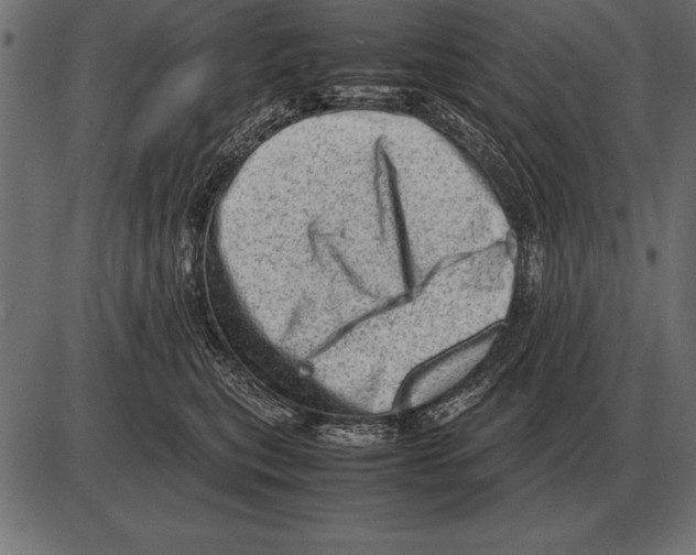 X0000085740567200704091513