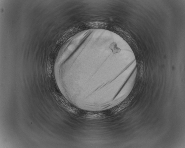 X0000085740569200704091513