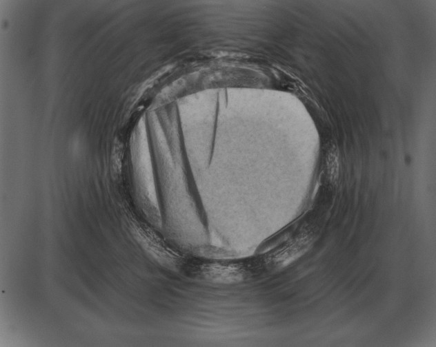 X0000085740570200704091513
