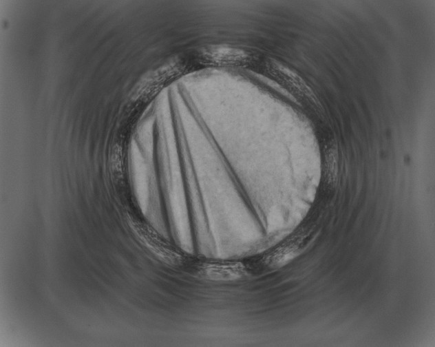 X0000085740571200704091513