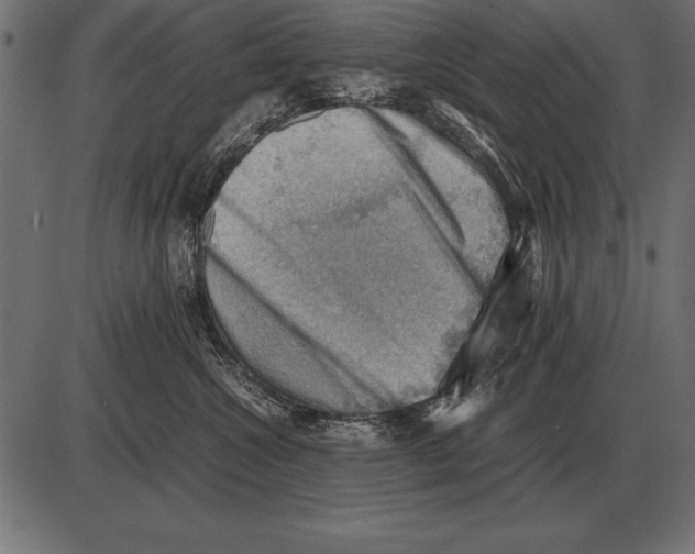 X0000085740572200704091513