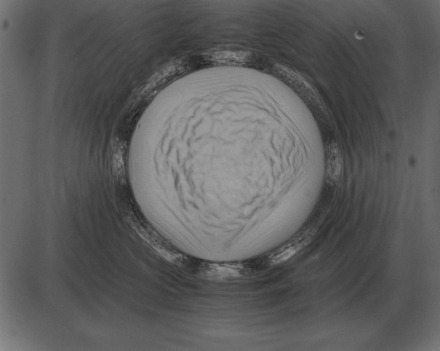 X0000085740573200704091513