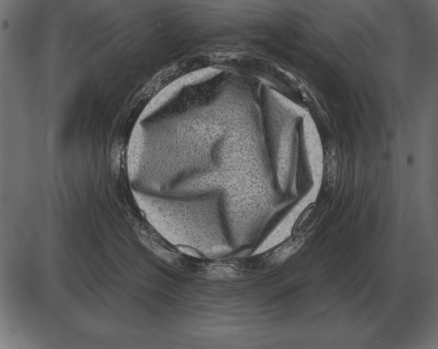 X0000085740574200704091513