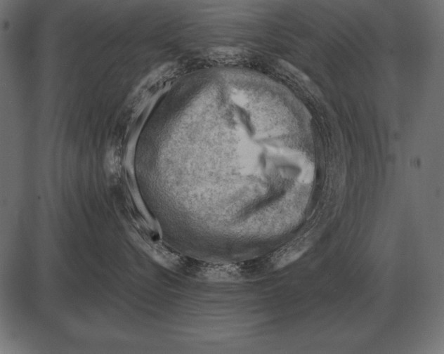 X0000085740576200704091513