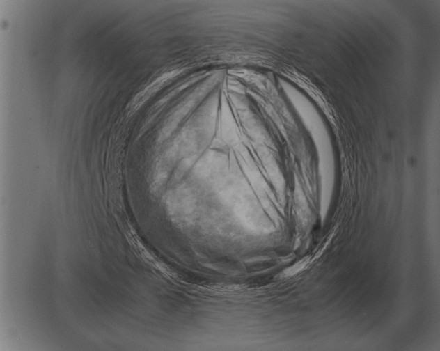 X0000085740577200704091512