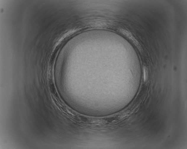 X0000085740579200704091512