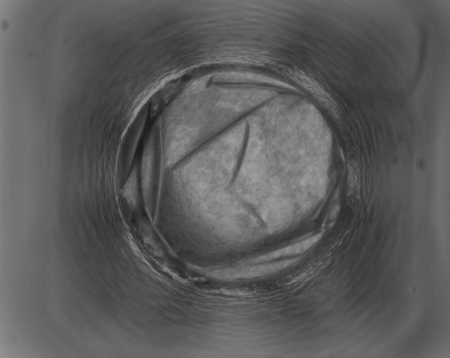 X0000085740580200704091512