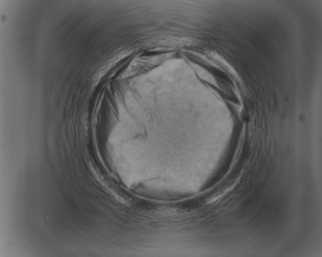 X0000085740581200704091512