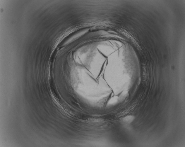 X0000085740582200704091512