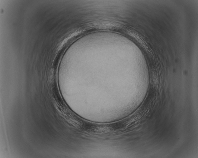 X0000085740583200704091512