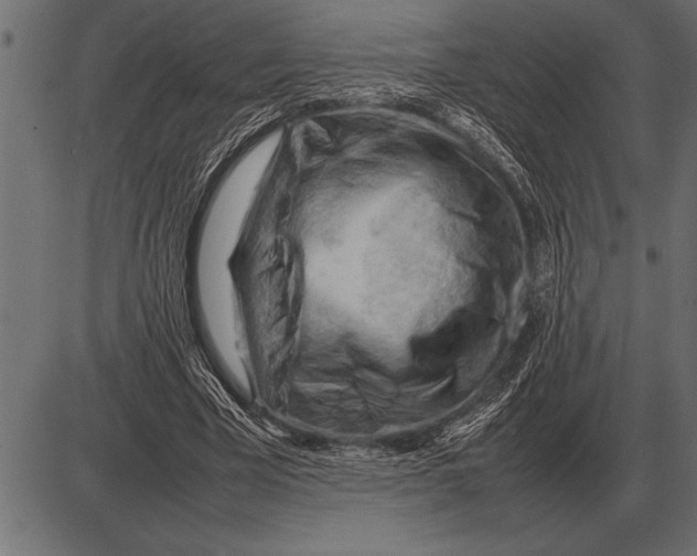 X0000085740585200704091512