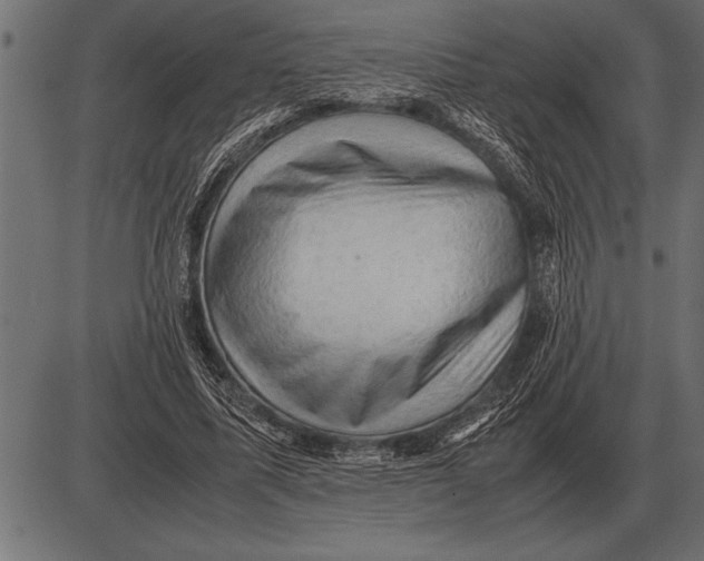 X0000085740587200704091512