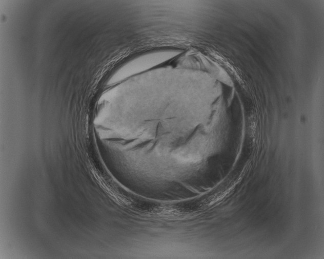 X0000085740589200704091512