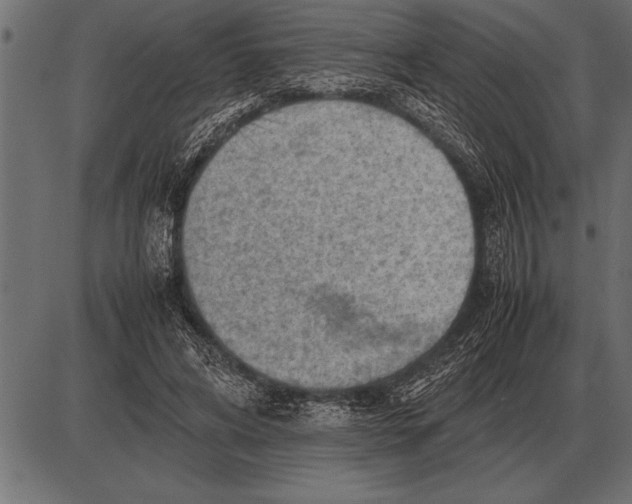 X0000085740592200704091512