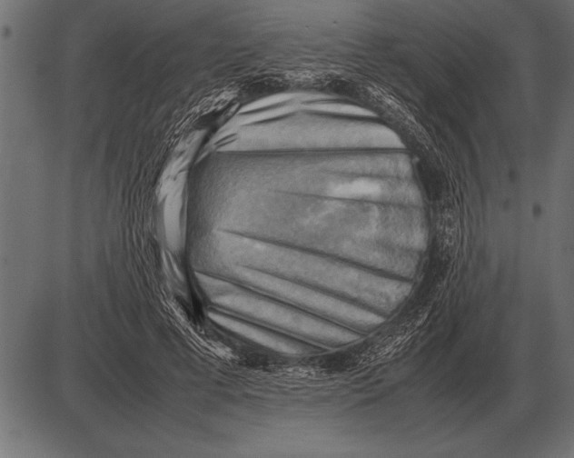 X0000085740593200704091512