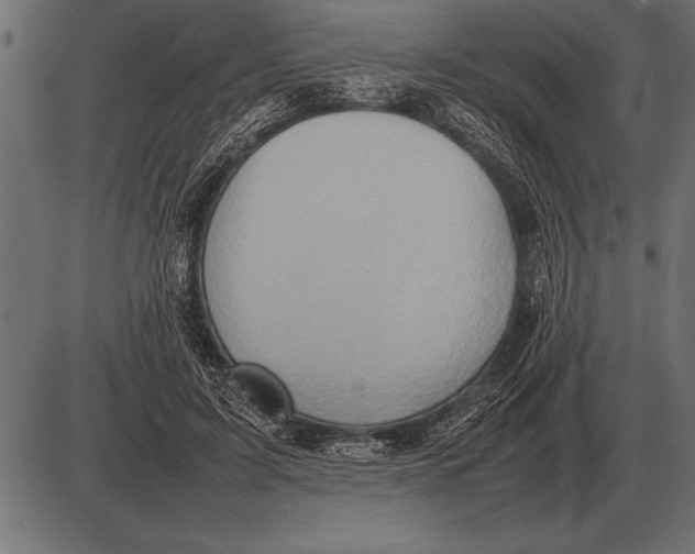 X0000085740595200704091512