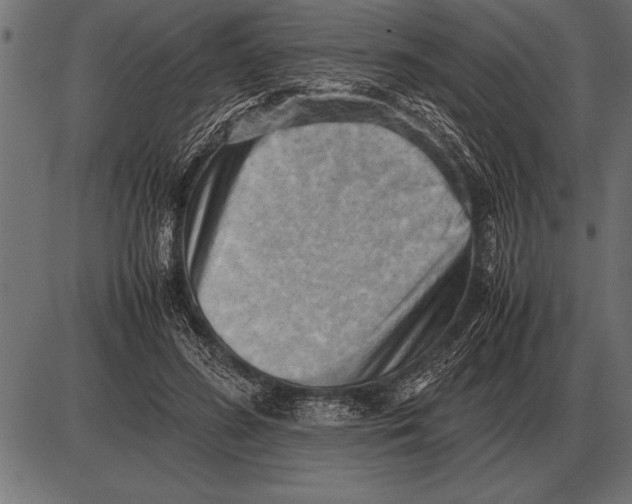 X0000085740596200704091512