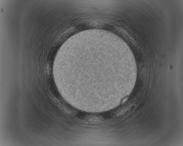 X0000085740597200704091512